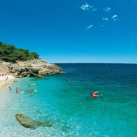 Top App 5 Min Arena Amphitheater *