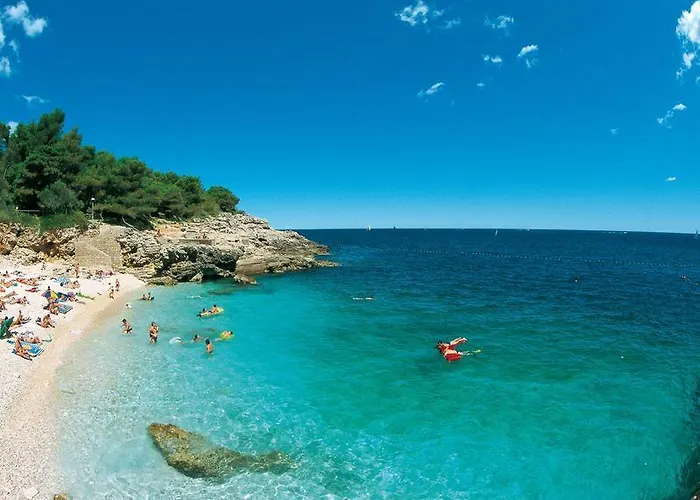 Top App 5 Min Arena Amphitheater *